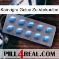 Kamagra Jelly For Sale viagra3